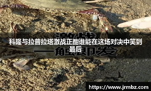 zoty中欧